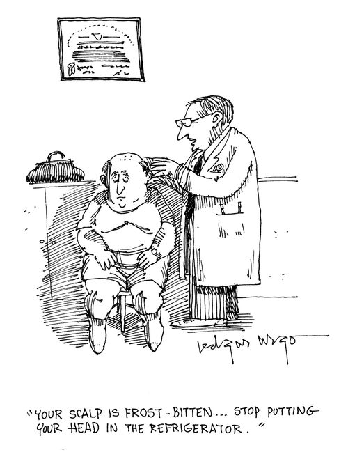 'Your scalp is frost-bitten...Stop putting your head in the refrigerator.'