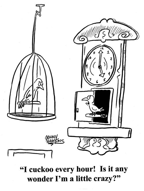 Cuckoo bird to caged bird: 'I cuckoo every hour! Is it any wonder I'm a little crazy?'
