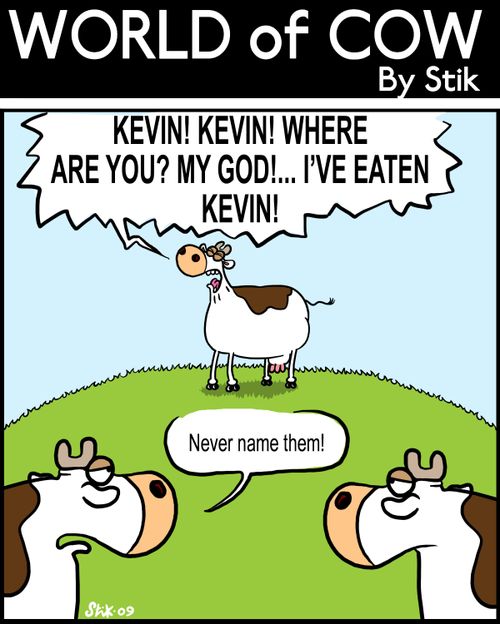Kevin! Kevin! Where are you? My God, I've eaten Kevin... Never name them!