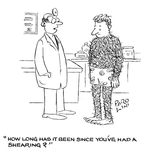 'How long has it been since you had a shearing?'