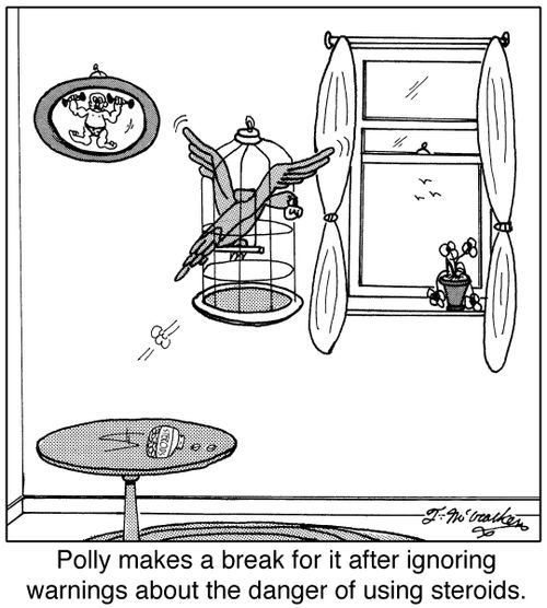 Polly makes a break for it after ignoring warnings about the danger of using steroids.