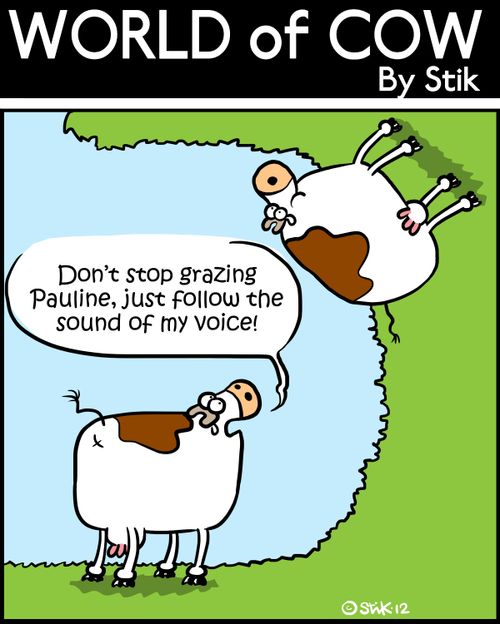 'Don't stop grazing Pauline, just follow the sound of my voice!'