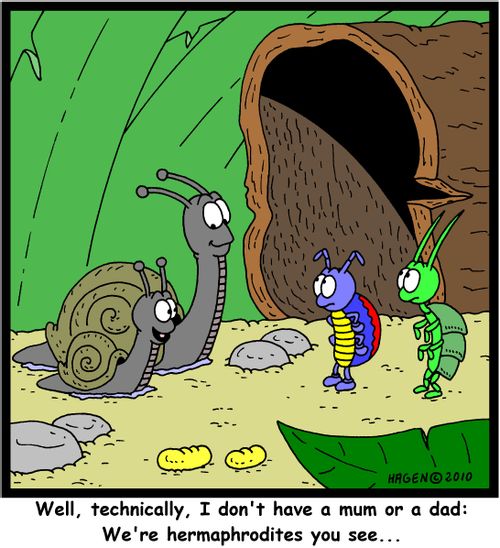 'Well, technically, I don't have a mum or a dad: We're hermaphrodites you see...'