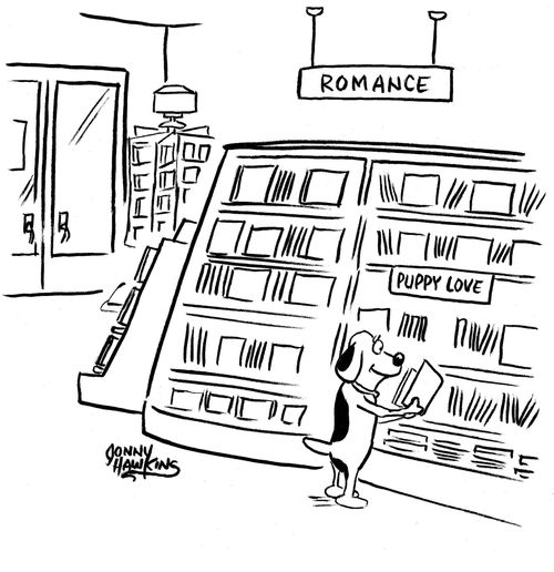 Little dog in Romance section in bookstore under sign: 'Puppy Love'
