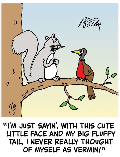 'I'm just sayin', with this cute little face and my big fluffy tail, I never really thought of myself as vermin!' 