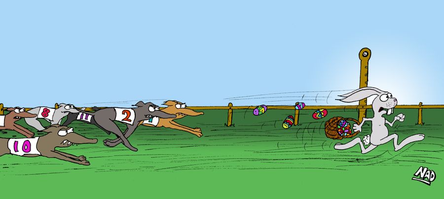 Easter Bunny in a Greyhound Race