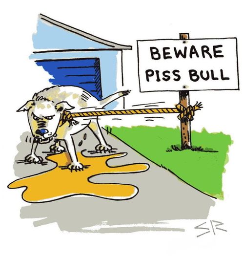 Piss Bull