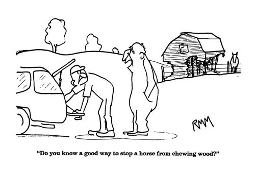 'Do you know a good way to stop a horse from chewing wood?'
