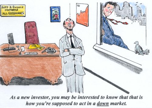 'As a new investor, you may be interested to know that that is how you're supposed to act in a down market.'