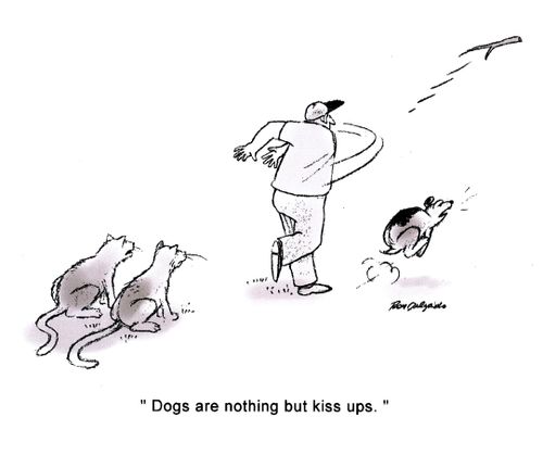 'Dogs are nothing but kiss-ups.'