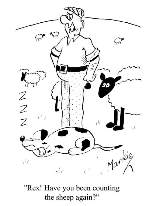 'Rex! Have you been counting the sheep again?'