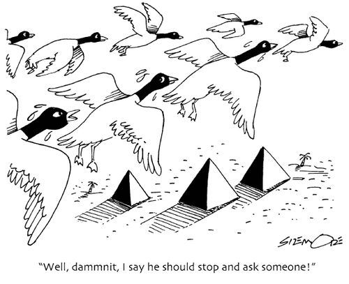 'Well, dammit, I say he should stop and ask someone!'