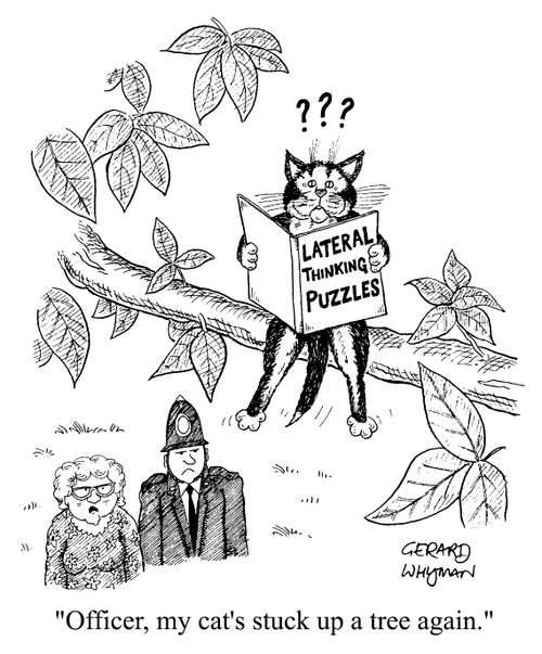 "Officer, my cat's stuck up a tree again"