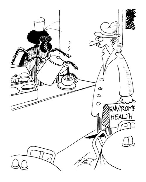 Man from 'Environmental Health visits a caf� run by bugs
