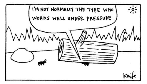 "I'm not normally the type who works well under pressure"
