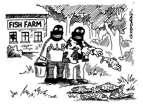 Fish Farm