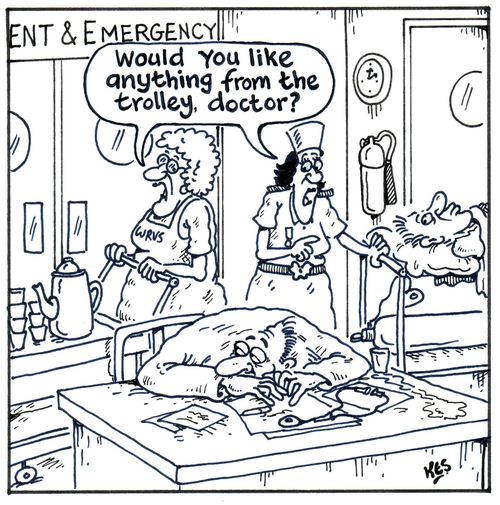 'Would you like something from the trolley doctor ? '