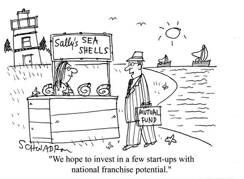 'We hope to invest in a few start-ups with national franchise potential.'