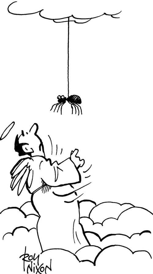 Angel with Spider.