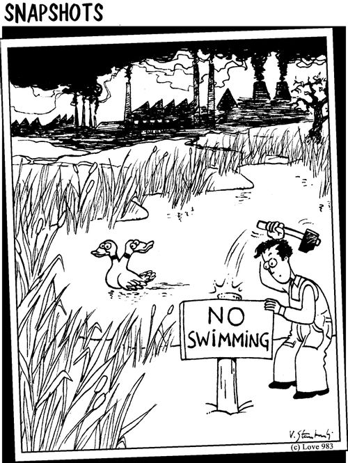 Ducks look alarmed at 'No Swimming' sign.