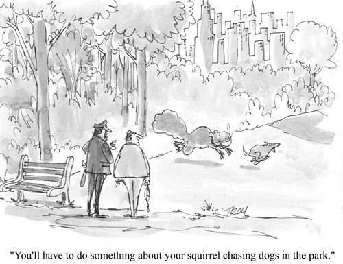 'You'll have to do something about your squirrel chasing dogs in the park.'