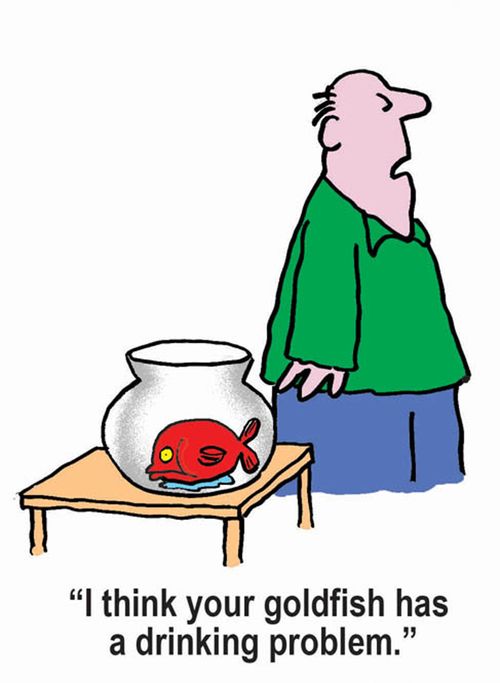"I think your goldfish has a drinking problem."