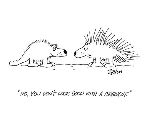 'No, you don't look good with a crewcut.'