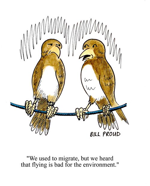 'We used to migrate, but we heard that flying is bad for the environment.'