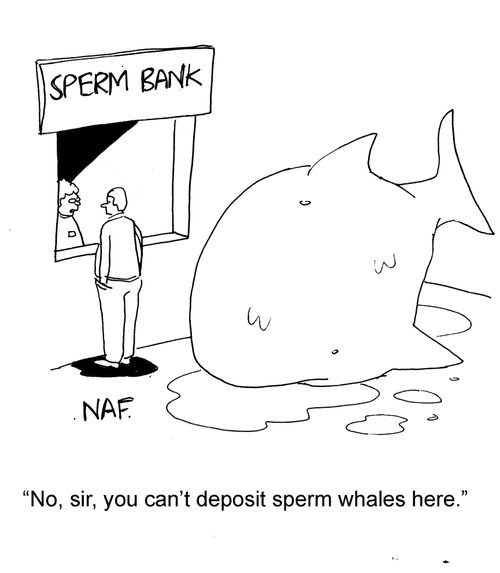 "No, sir, you can't deposit sperm whales here."