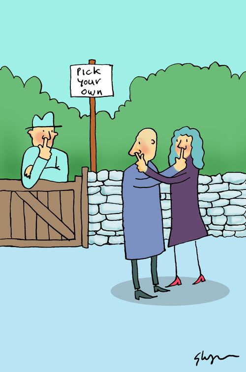 Pick your own.