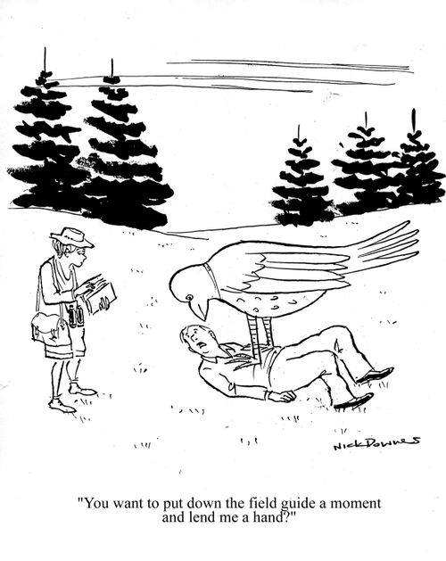 'You want to put down the field guide a moment and lend me a hand?'
