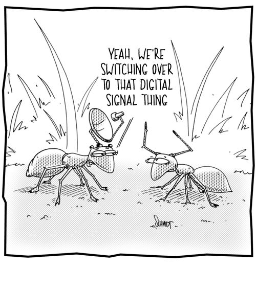 'Yeah, We're switching over to that digital signal thing.'