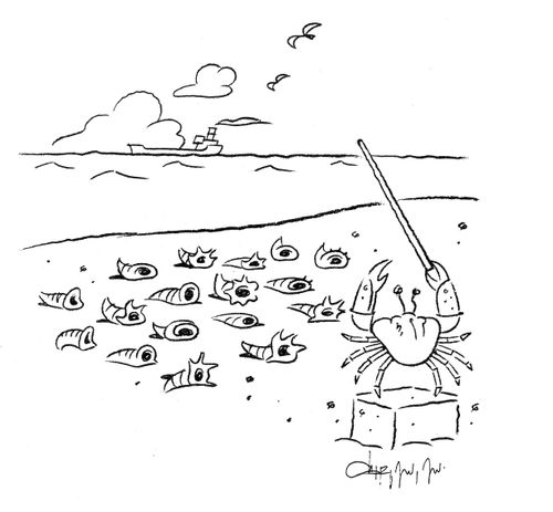 Crab conductor.
