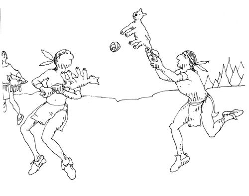 Uses of a Dead Cat in History: Native American Indian Lacrosse