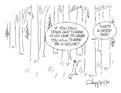 If a tree falls in the woods and there's nobody there to hear it, doe s it make a noise?
