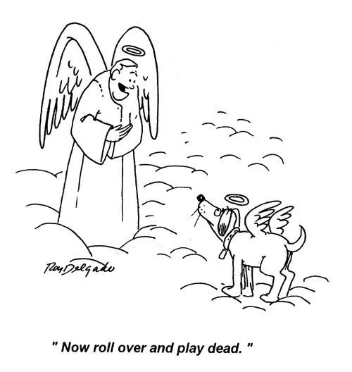 'Now roll over and play dead.'