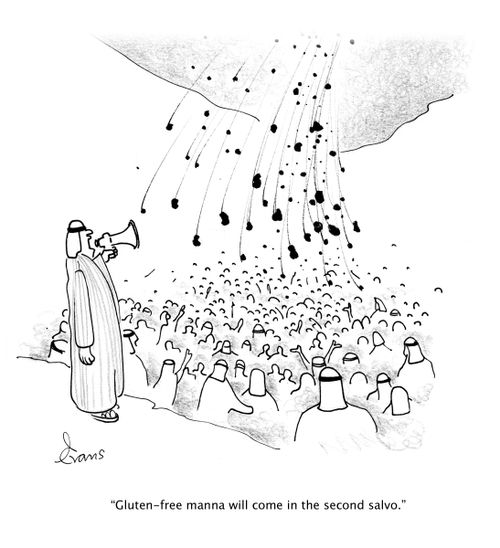 'Gluten-free manna will come in the second salvo.'