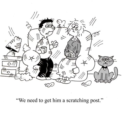 'We need to get him a scratching post.'