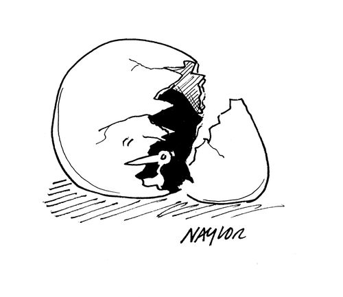 Tiny bird emerges from giant egg.
