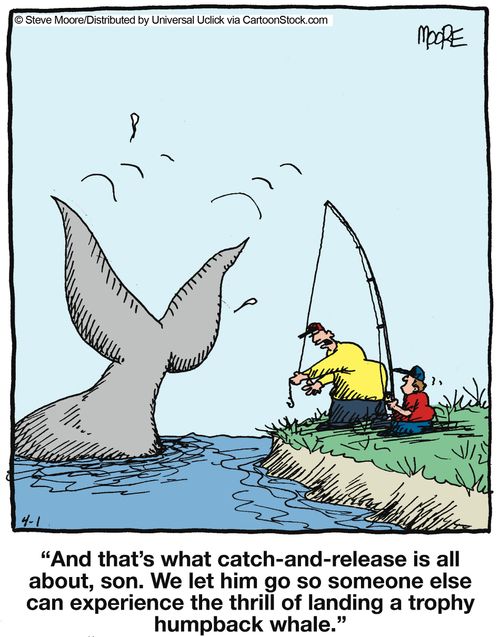 'And that's what catch-and-release is all about, son...'