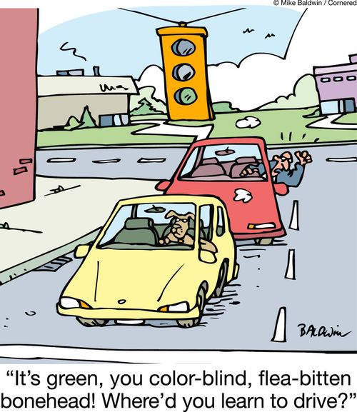 'It's green, you color-blind, flea-bitten bonehead! Where'd you learn to drive?'