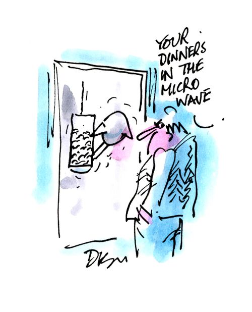 'Your dinner's in the microwave.'