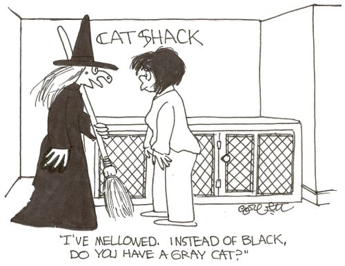 Witch: 'I've mellowed.  Instead of black, do you have a gray cat?'