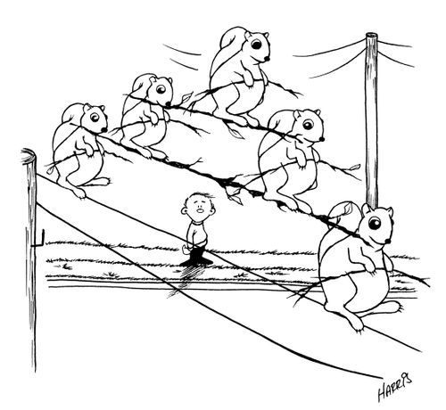 Squirrels walking the high wire.