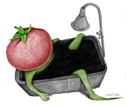 Tomato taking a bath.