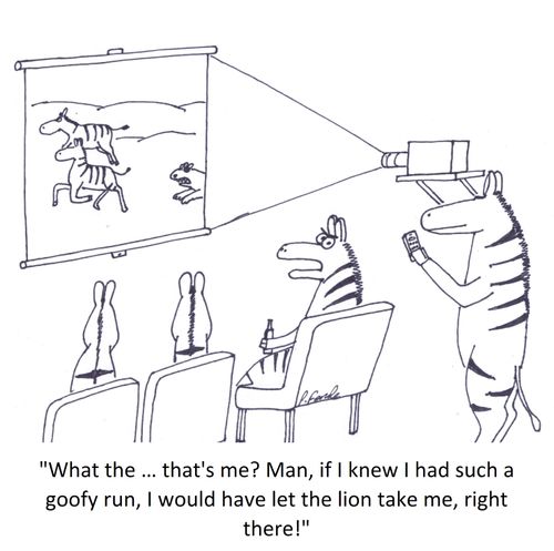 'What the … that's me? Man, if I knew I had such a goofy run, I would have let the lion take me, right there!'