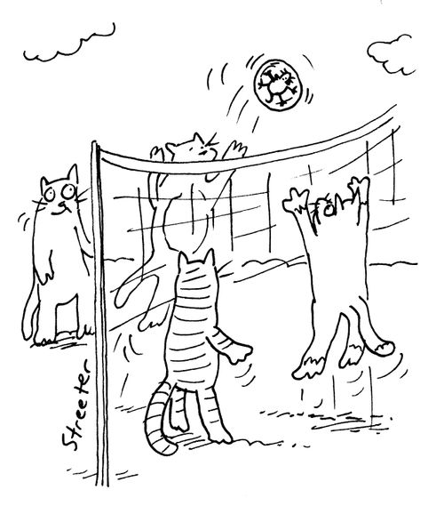 Cat-hamster volleyball