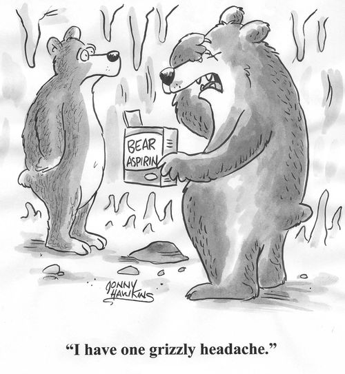 Bear with 'Bear Aspirin': 'I have one grizzly headache.'