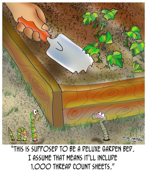 'This is supposed to be a deluxe garden bed. I assume that means it'll include 1,000 thread count sheets.'