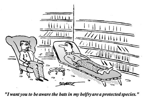 'I want you to be aware the bats in my belfry are a protected species.'